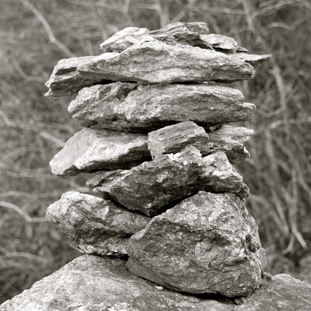 Meet your Posher, Joy